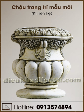 Chậu trang trí mẫu mới